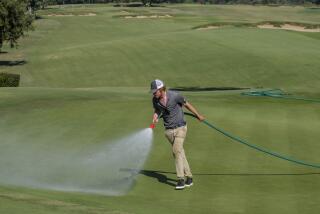 JJ Bennett waters the ninth hole during the First Look for the U.S. Open Championship at Los Angeles Country Club, Monday, Sept. 26, 2022, in Los Angeles. (AP Photo/Ringo H.W. Chiu)