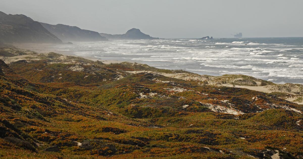 White House announces new California marine sanctuary