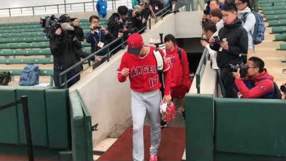 Shohei Ohtani's eyes will light up over rare feat by Randal