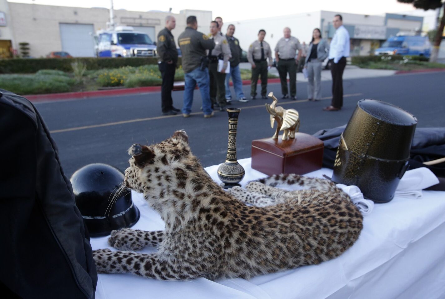 A mounted snow leopard, valued by the owner at $250,000, is on display with other stolen items in front of the city of Industry Sheriff's Station on Dec. 11. The items were stolen from a home in La Habra Heights and 16 teenagers were arrested in the Nov. 23.