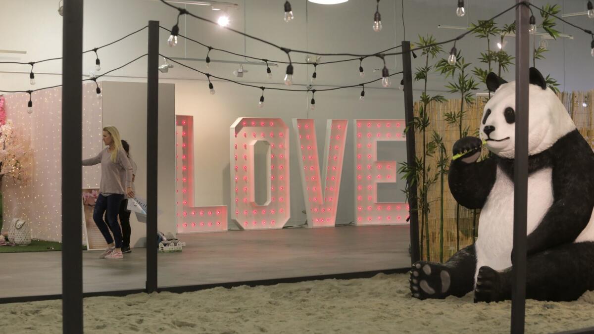 A giant panda sits in the sand zen garden in the center of the Museum of What Love Tour exhibit that opened on Valentine's Day in Encinitas.
