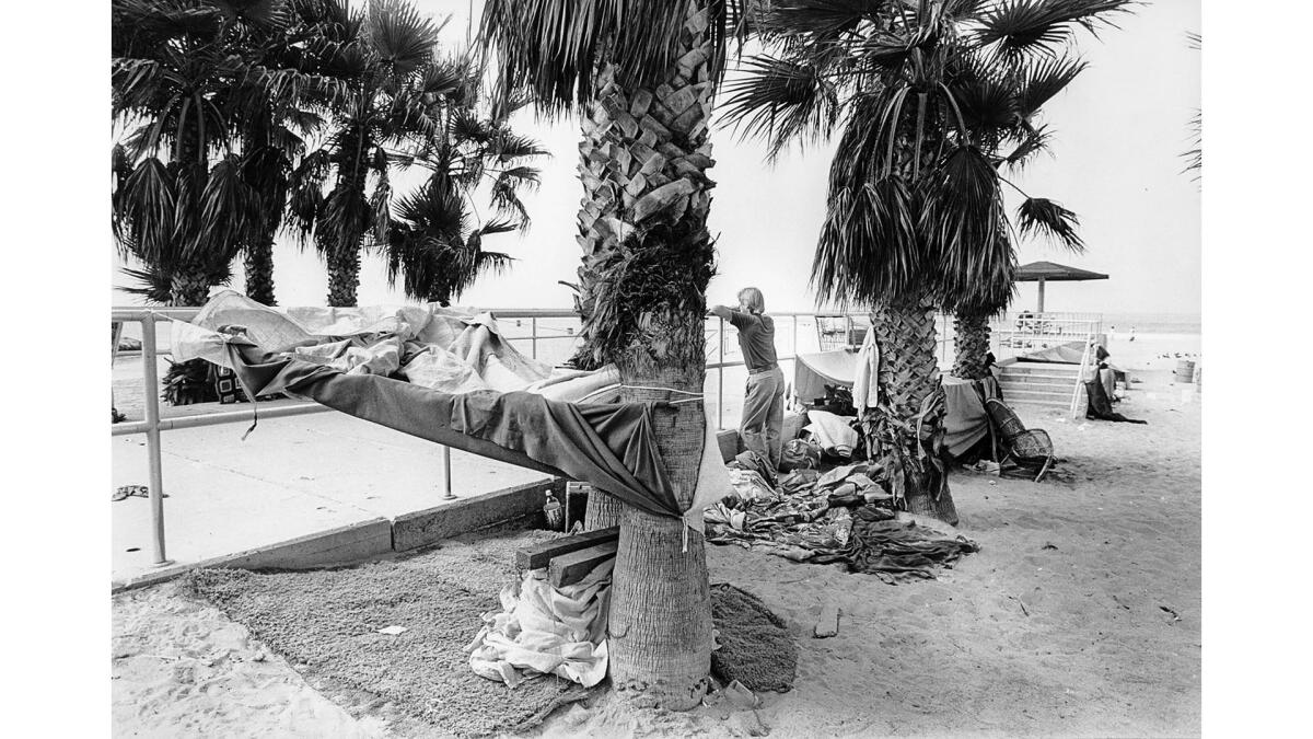 Aug. 8, 1987: A hammock is attached to a palm tree at a Venice Beach homeless encampment.