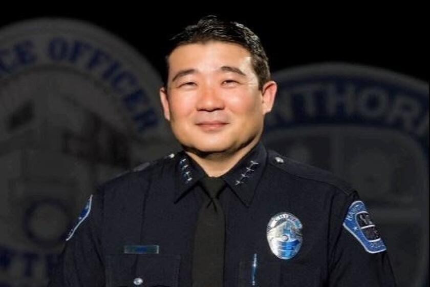 Fountain Valley has appointed Michael Ishii as its interim police chief.