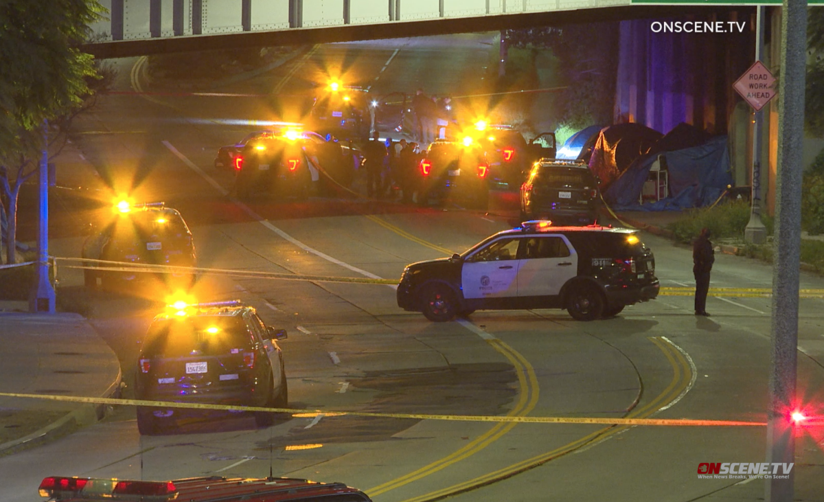 About half a dozen police cruisers are seen beneath a city overpass with lights flashing. 