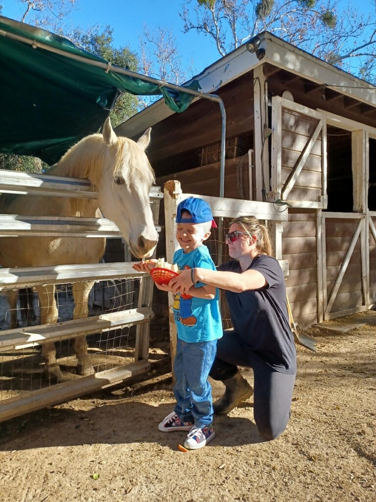 Five-year-old Evan Pennington feeds a horse with Danielle Judd's help at FarmHouse Rescue.