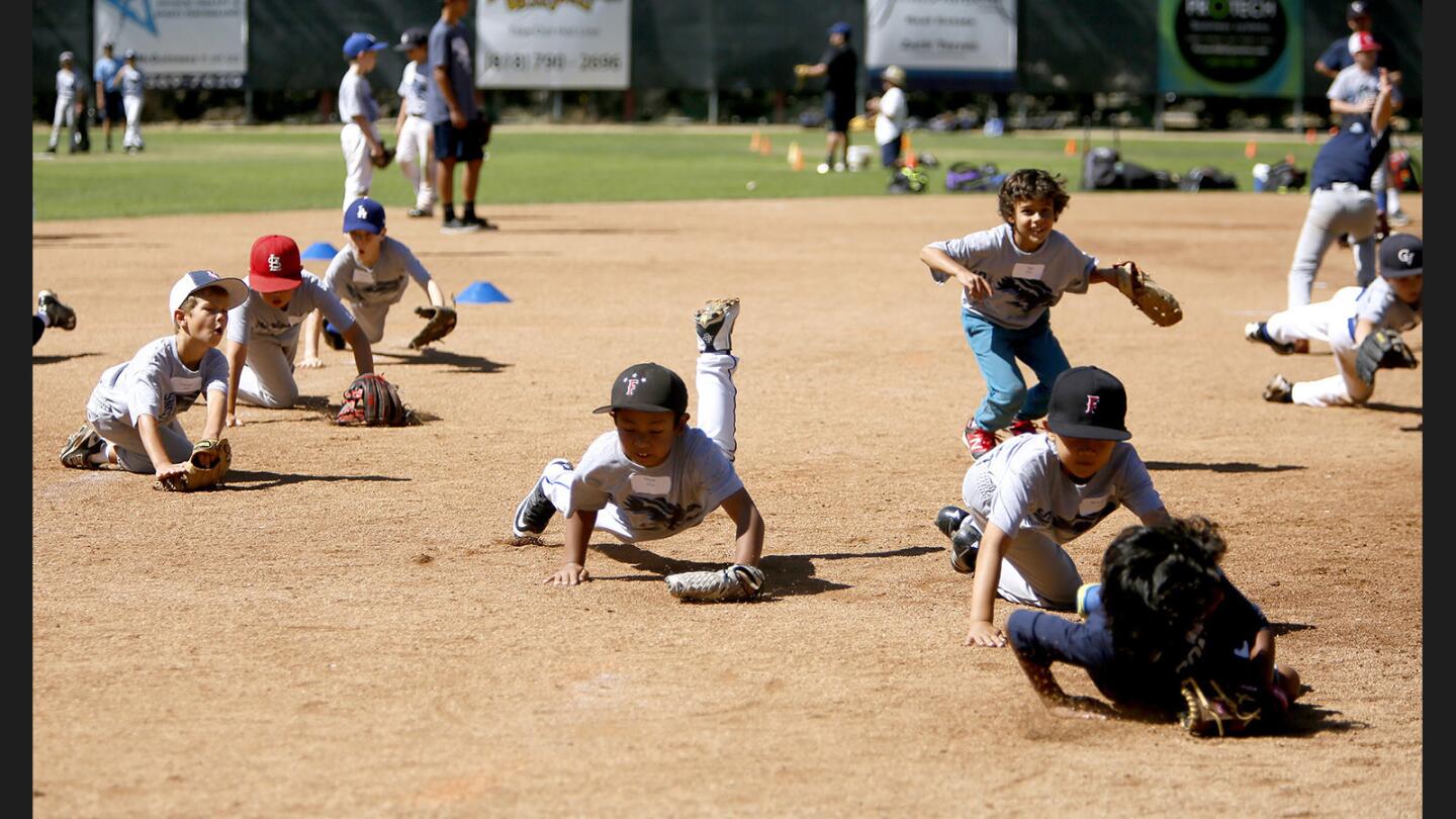 Photo Gallery: Annual Summer tradition Falcon Baseball Camp at Stengel Field