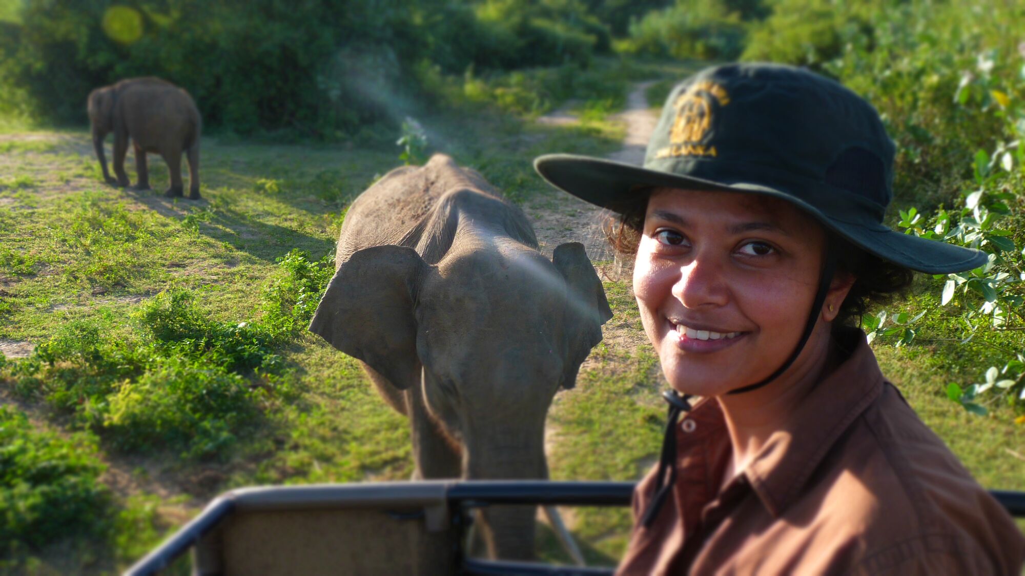 Shermin de Silva, a biologist at UC San Diego, is photographed with Asian elephants in Sri Lanka.