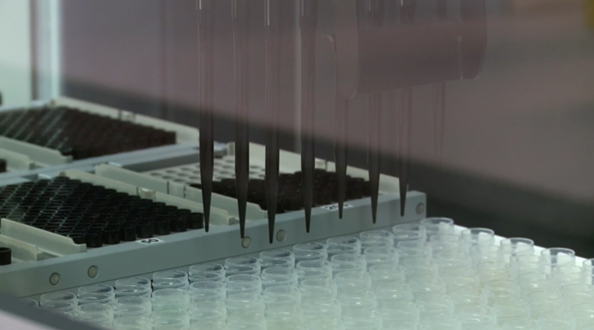 DNA is extracted at 23andMe's genotyping lab. (23andMe)
