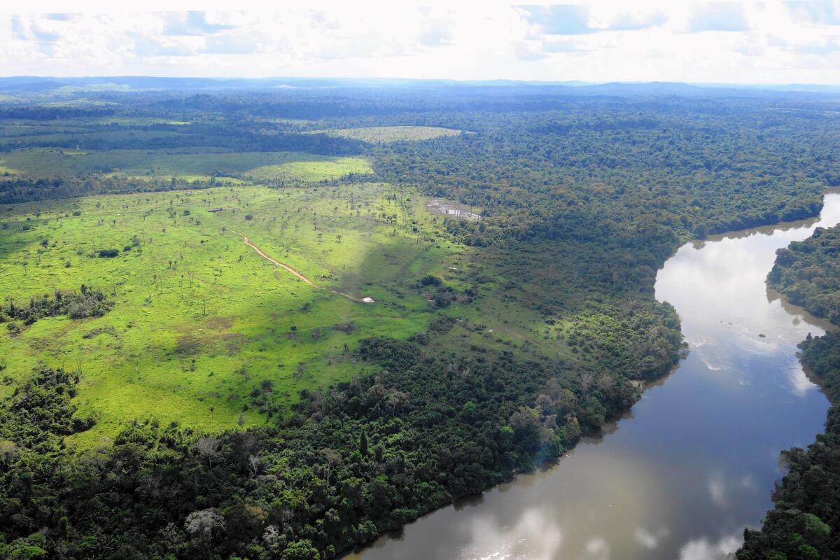 A view of deforestation in the Brazilian Amazon.