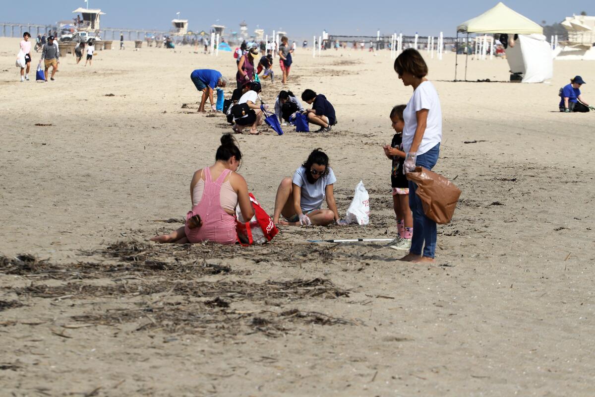 About 200 volunteers take part cleaning up Huntington Beach State Beach. 