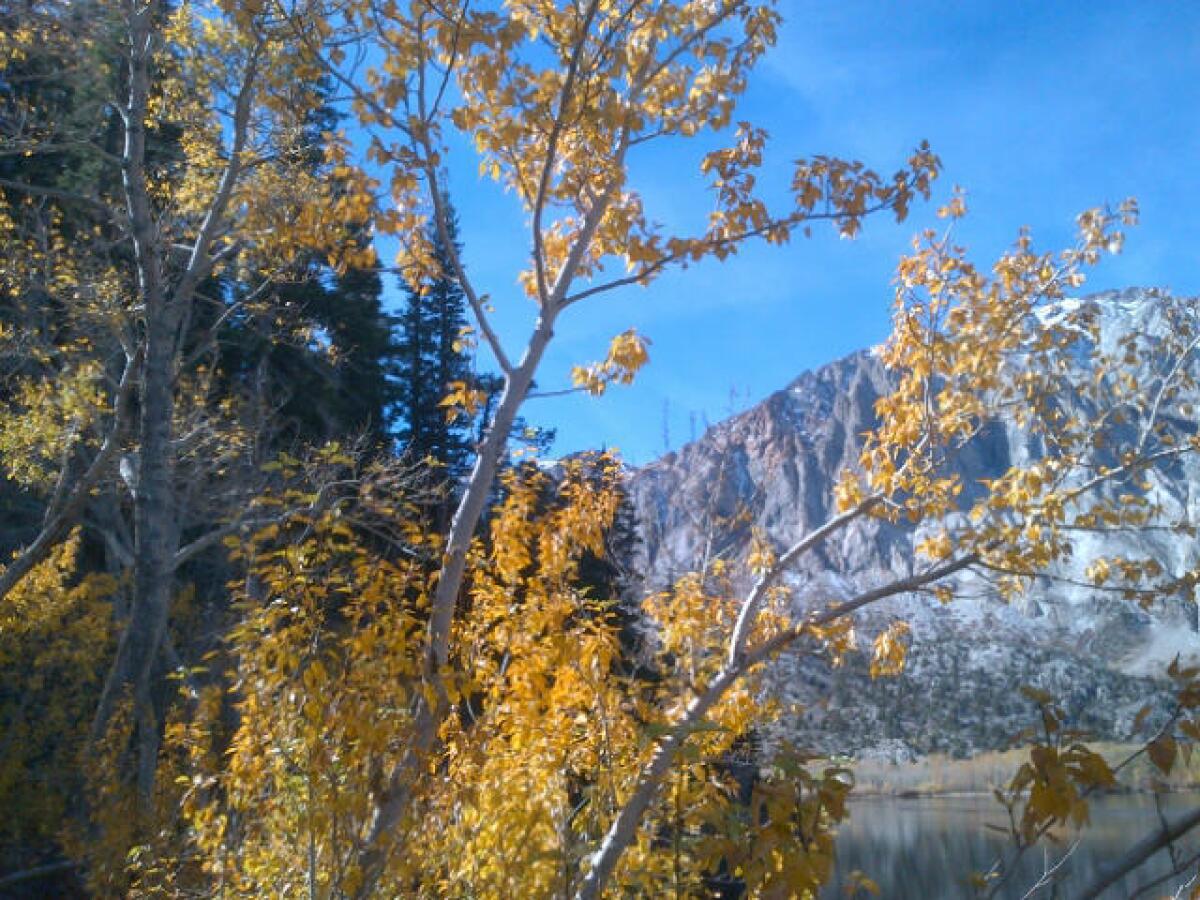 This photo of Lundy Canyon, taken Friday morning, shows off autumnal changes.