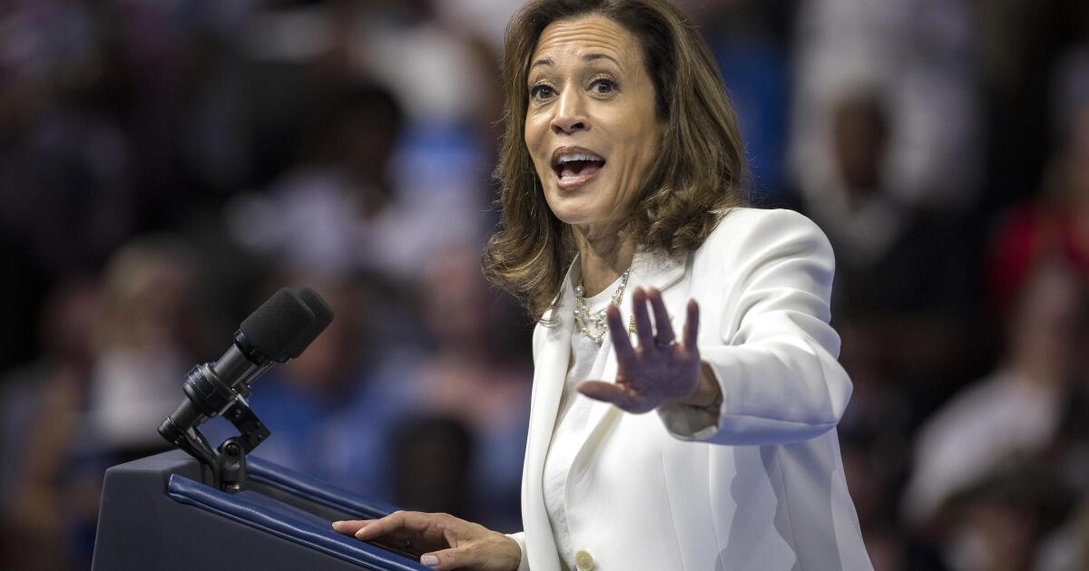 Opinion: This could be Kamala Harris' Achilles' heel with crucial undecided voters