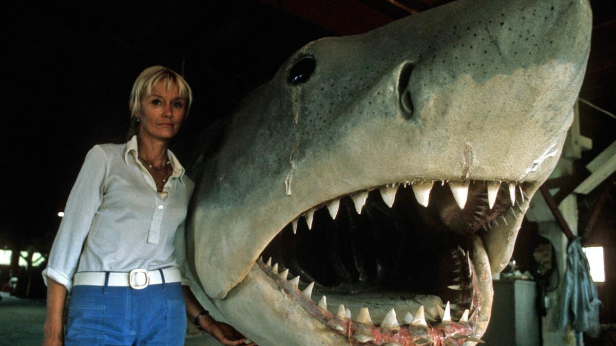 A still from Playing with Sharks by Sally Aitken