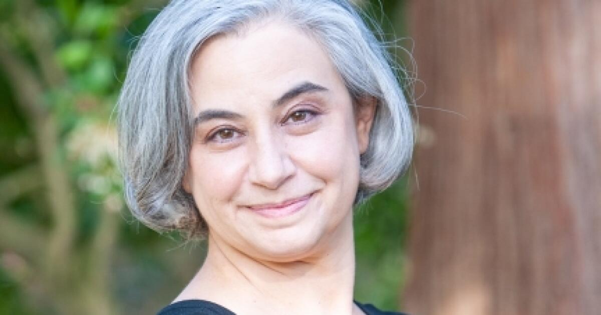 Review: Laurie Frankel's funny, revelatory novel 'Family Family'