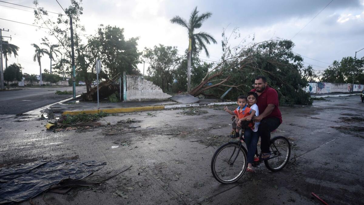 A man rides a bike carrying his children past a fallen tree after Hurricane Willa blew through Escuinapa, Mexico, on Wednesday.