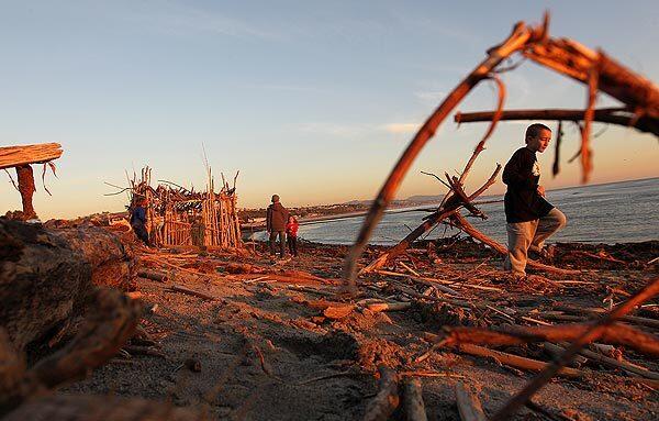 Storm debris