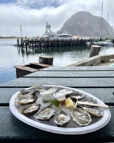 Grassy Bar Oyster Company