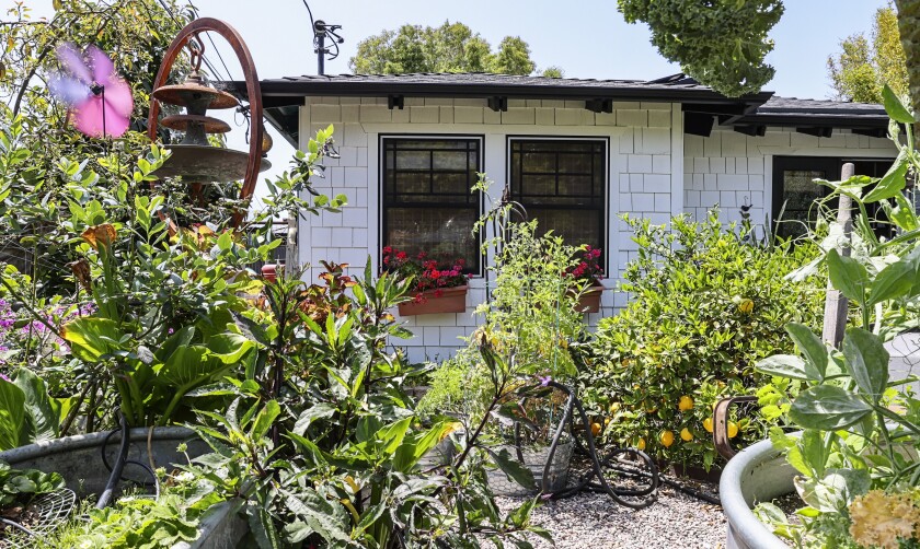 A front yard view of the newly painted white exterior walls and black trim, offset by colorful flower boxes and plants.