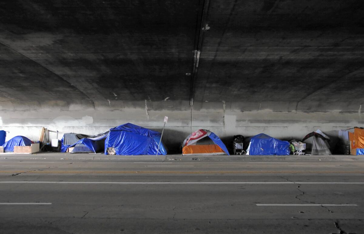 A tent encampment under the 101 Freeway on Alvarado Street near Echo Park.
