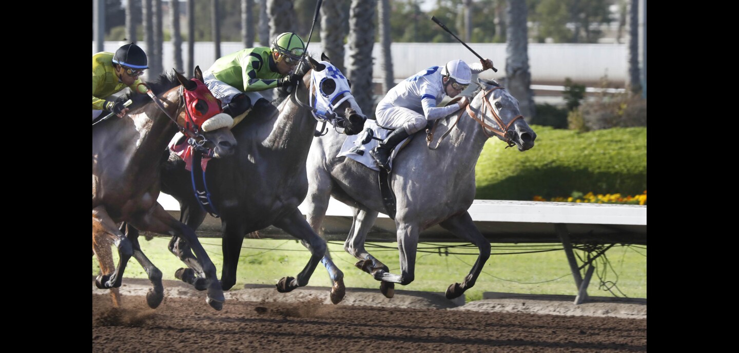 Lovely Finish And Trainer Joe Herrick Burned In Lilac Fire Return To Racing The San Diego Union Tribune