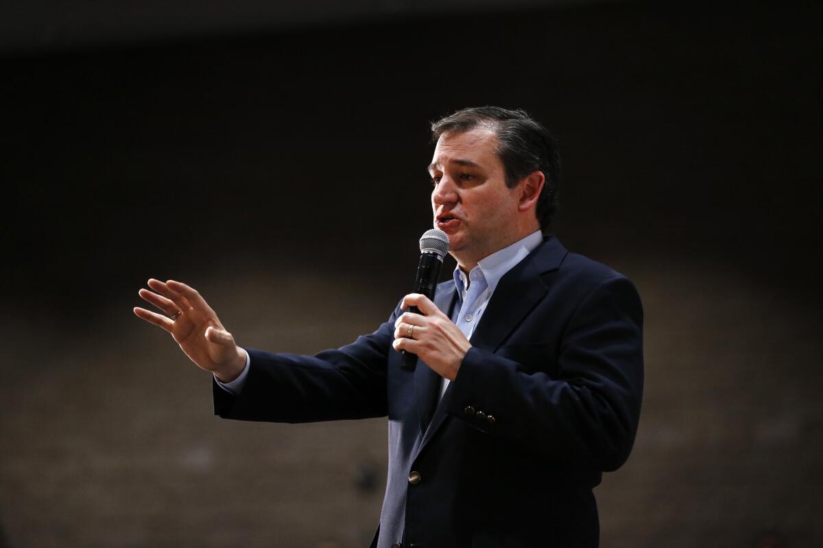 Ted Cruz, aspirante a la candidatura presidencial republicana, habla en un acto proselitista el 16 de febrero del 2016 en Anderson, South Carolina. (AP Foto/Paul Sancya)