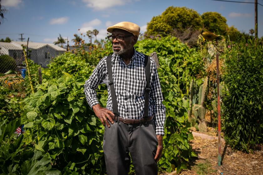 Los Angeles, CA - July 07: MH Forte, a 94 year old South LA resident, stands in the Good Earth Community Garden where he has farmed for many years on Friday, July 7, 2023 in Los Angeles, CA. (Jason Armond / Los Angeles Times)