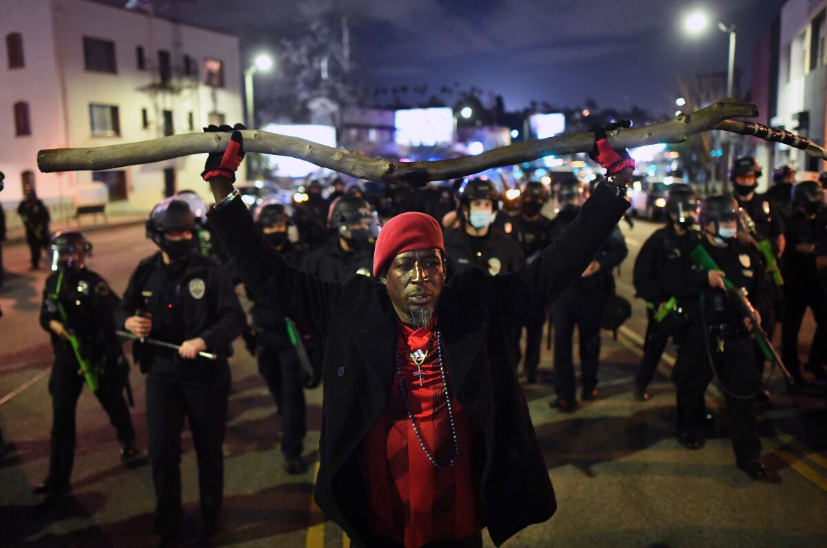 A protester raises a tree branch in front of police officers.