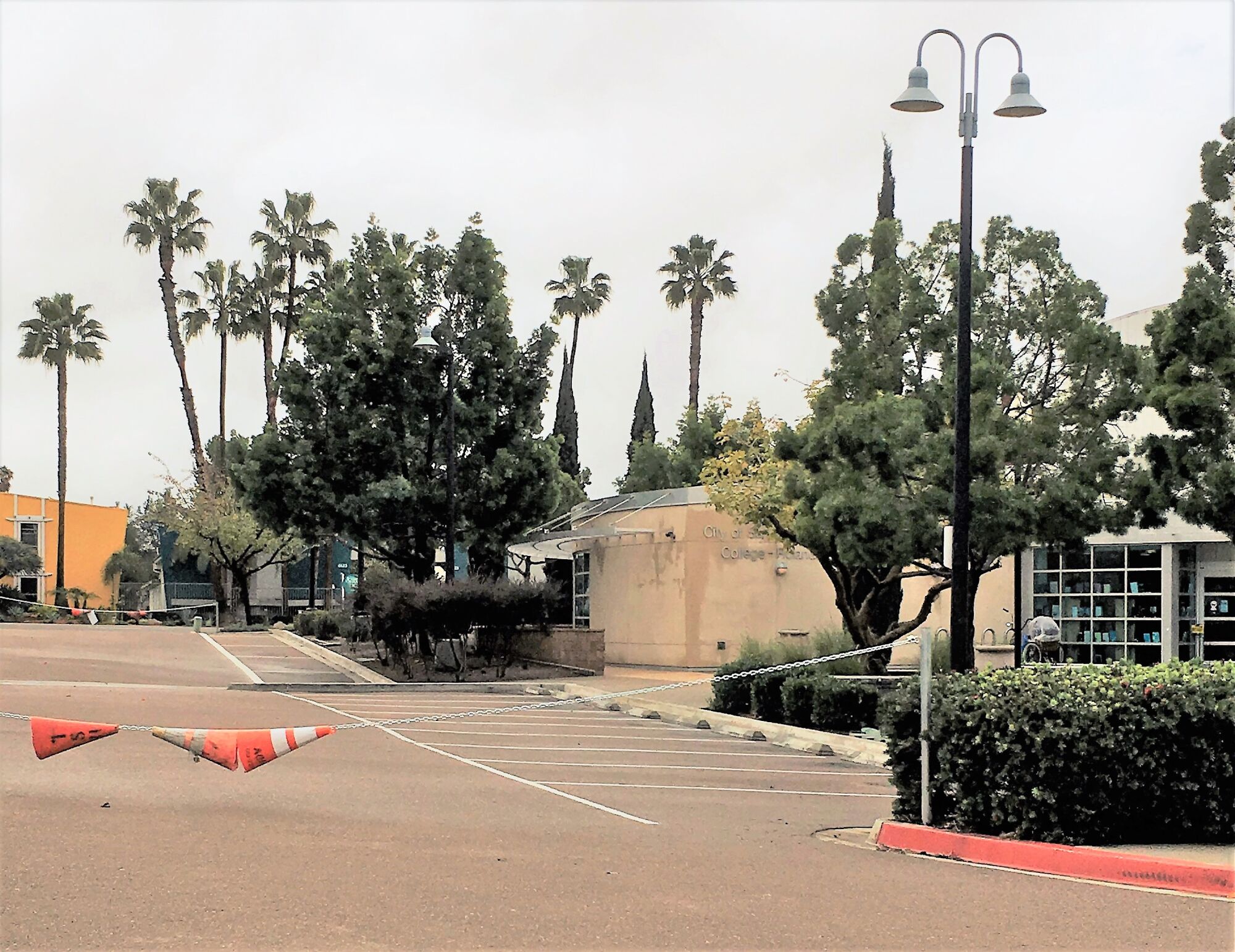 A chain with traffic cones strung on it is seen blocking off a driveway, with palm trees in the background.
