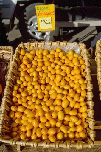 Nagami kumquats