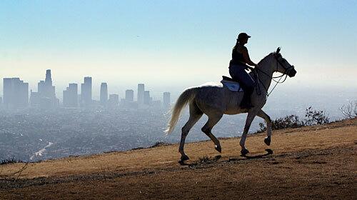 Horseback riding in Griffith Park