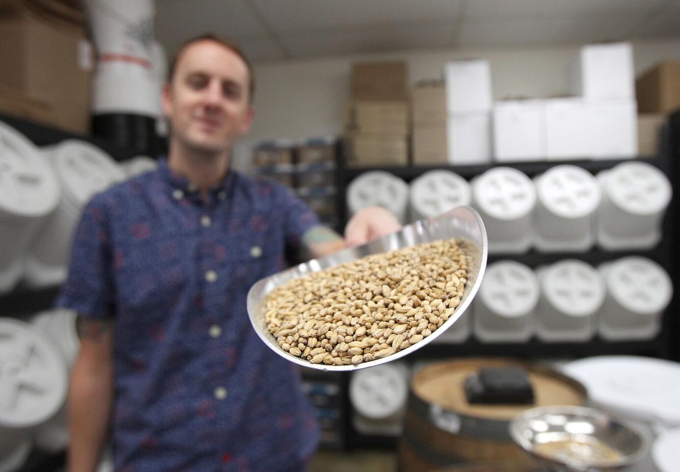 Scott Windsor pours barley onto a scale at his Windsor Home Brew Supply in Costa Mesa. Windsor is a former indie rock musician and has been brewing for 11 years.