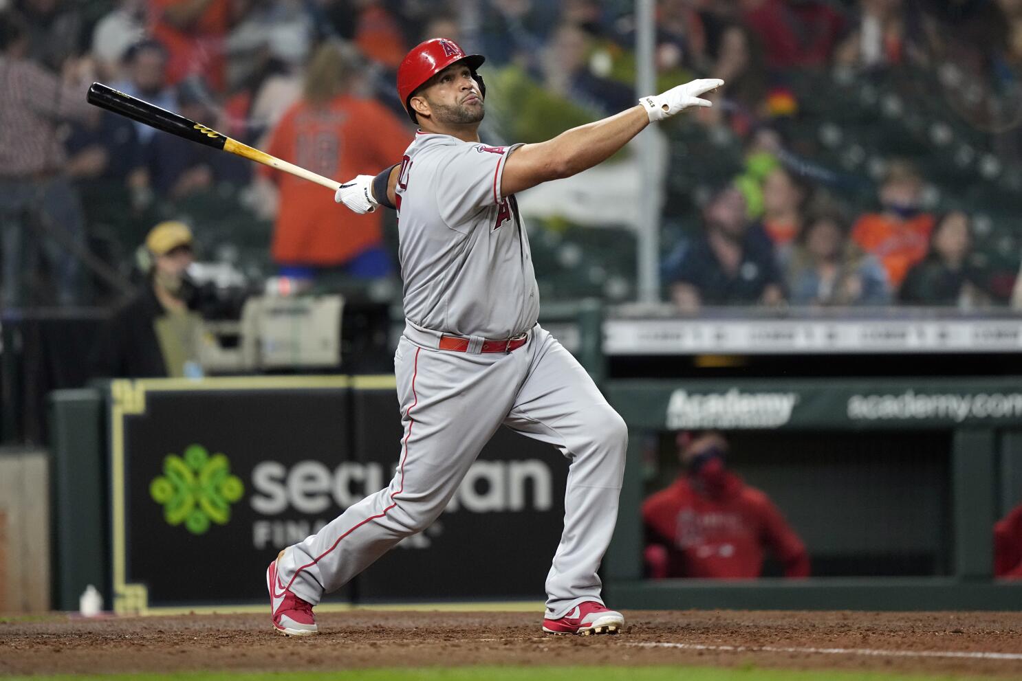 Albert Pujols St Louis Cardinals Comeback Player Of The Year Style