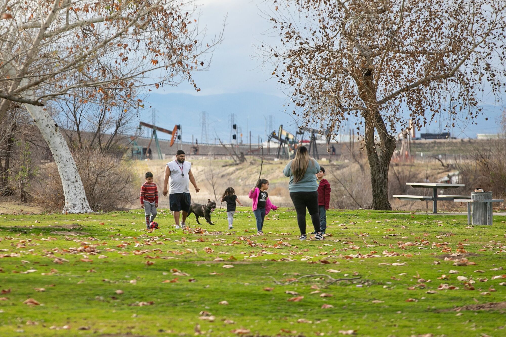 Two adults, four children and a dog at a park.