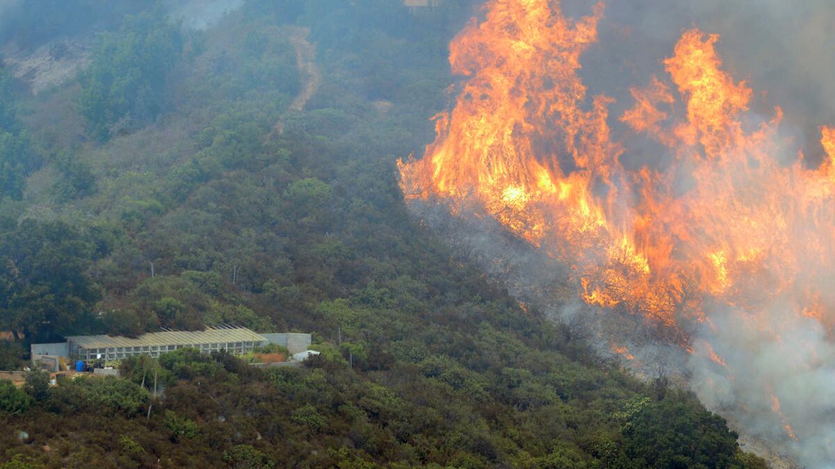 A wildfire burns in the Palo Colorado Canyon in the scenic Big Sur region of California's Central Coast.