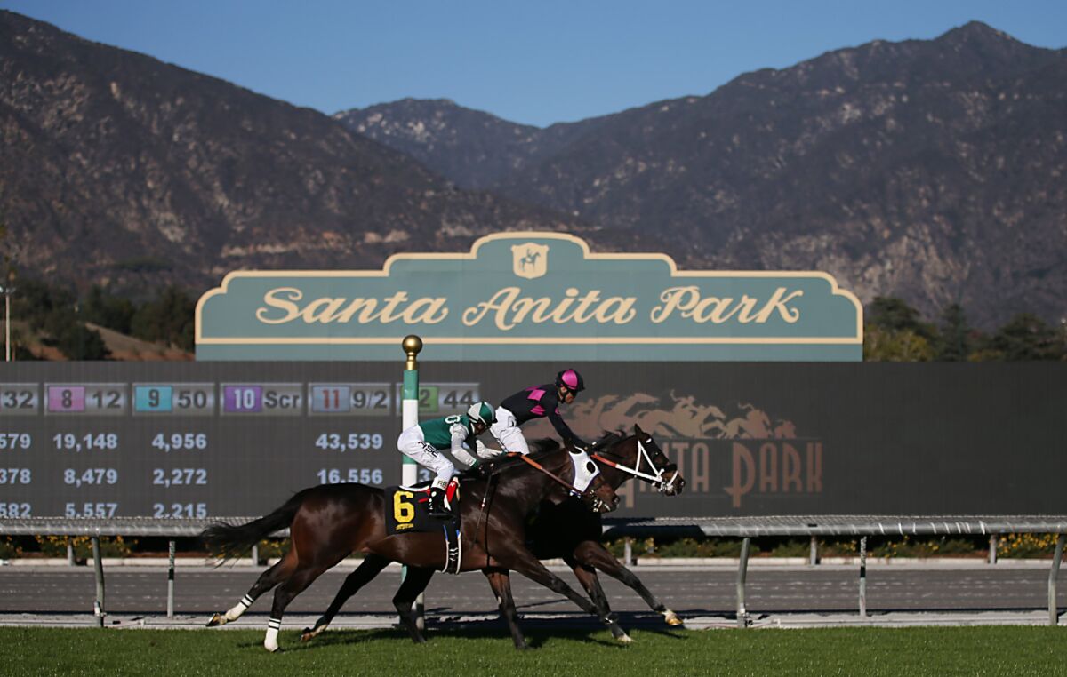 Jockeys slow down their horses after crossing the finish line during an opening-day race at Santa Anita on Dec. 26.