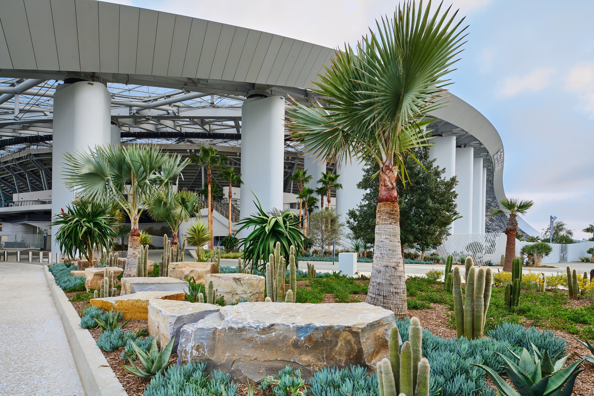 SoFi Stadium's undulating roofline can be seen behind a desert garden with rocks, cacti, aloes and other succulents.