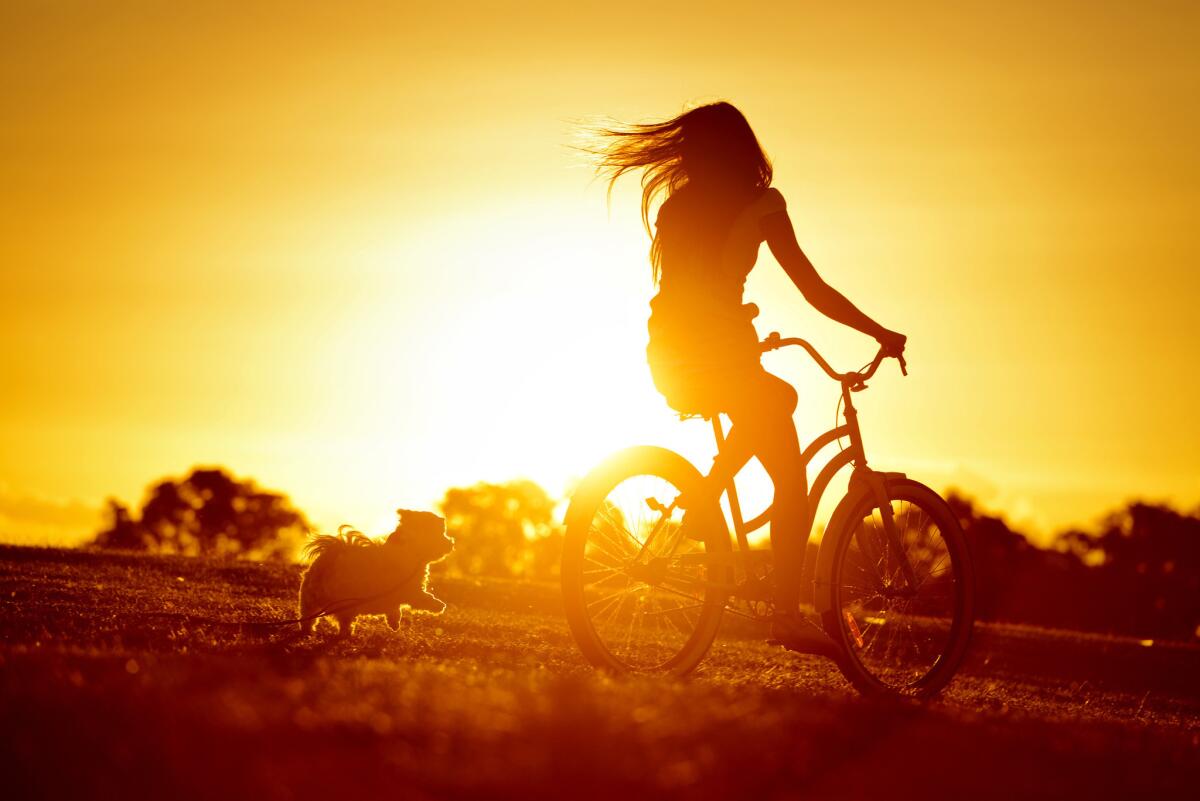 Head injuries from bike accidents while not wearing a helmet are extremely common in the summertime.