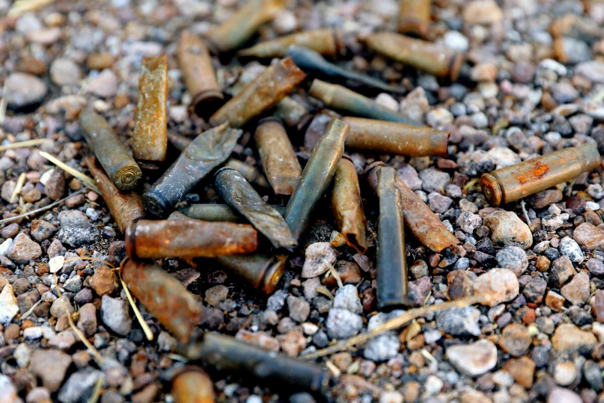 Casquillos de bala se encuentran entre los pueblos de Palmas Altas y Jerez en Zacatecas, México. 