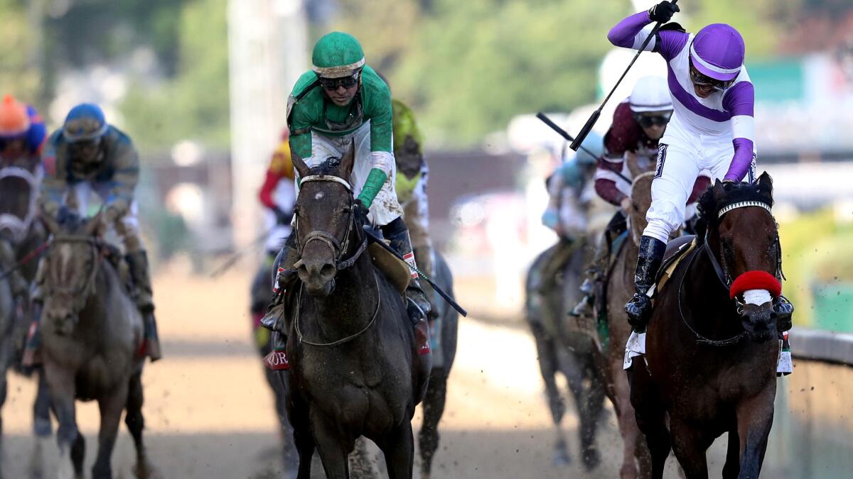 Jockey Mario Gutierrez celebrates atop Nyquist after winning the 142nd Kentucky Derby.