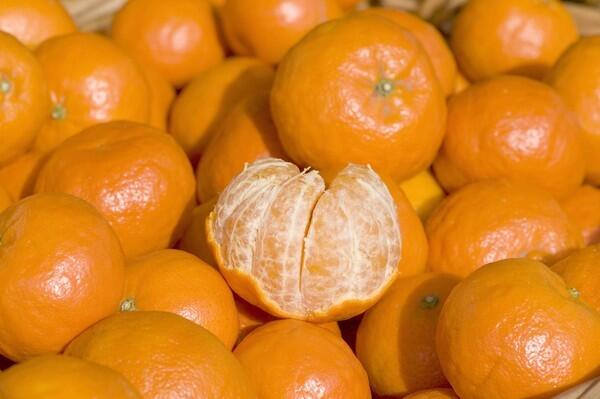 Dancy mandarins