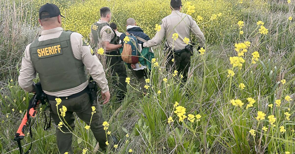 Suspect starts brush fire in California state park while fleeing sheriff's deputies