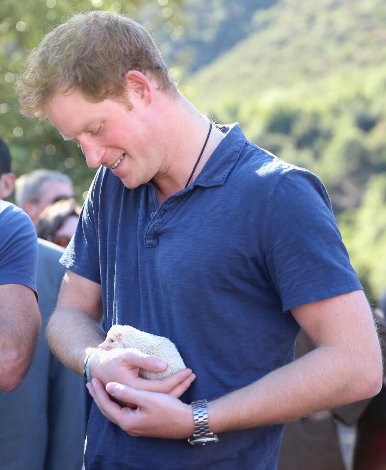 Prince Harry visits Chile | Day 3