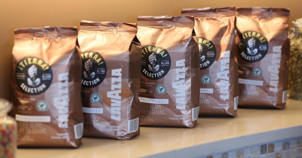 Les prix du café pourraient rester élevés pendant au moins deux ans en période El Niño