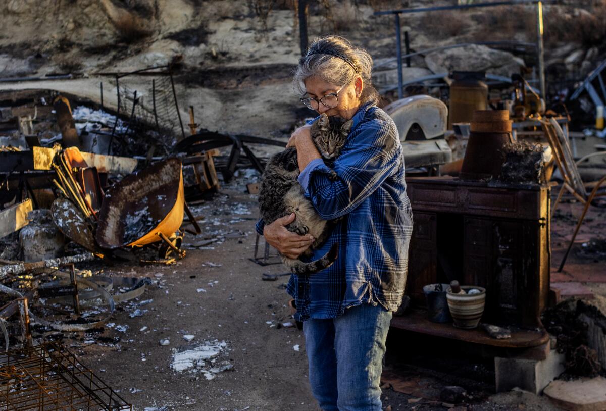 A woman standing in a burned area hugs a cat.