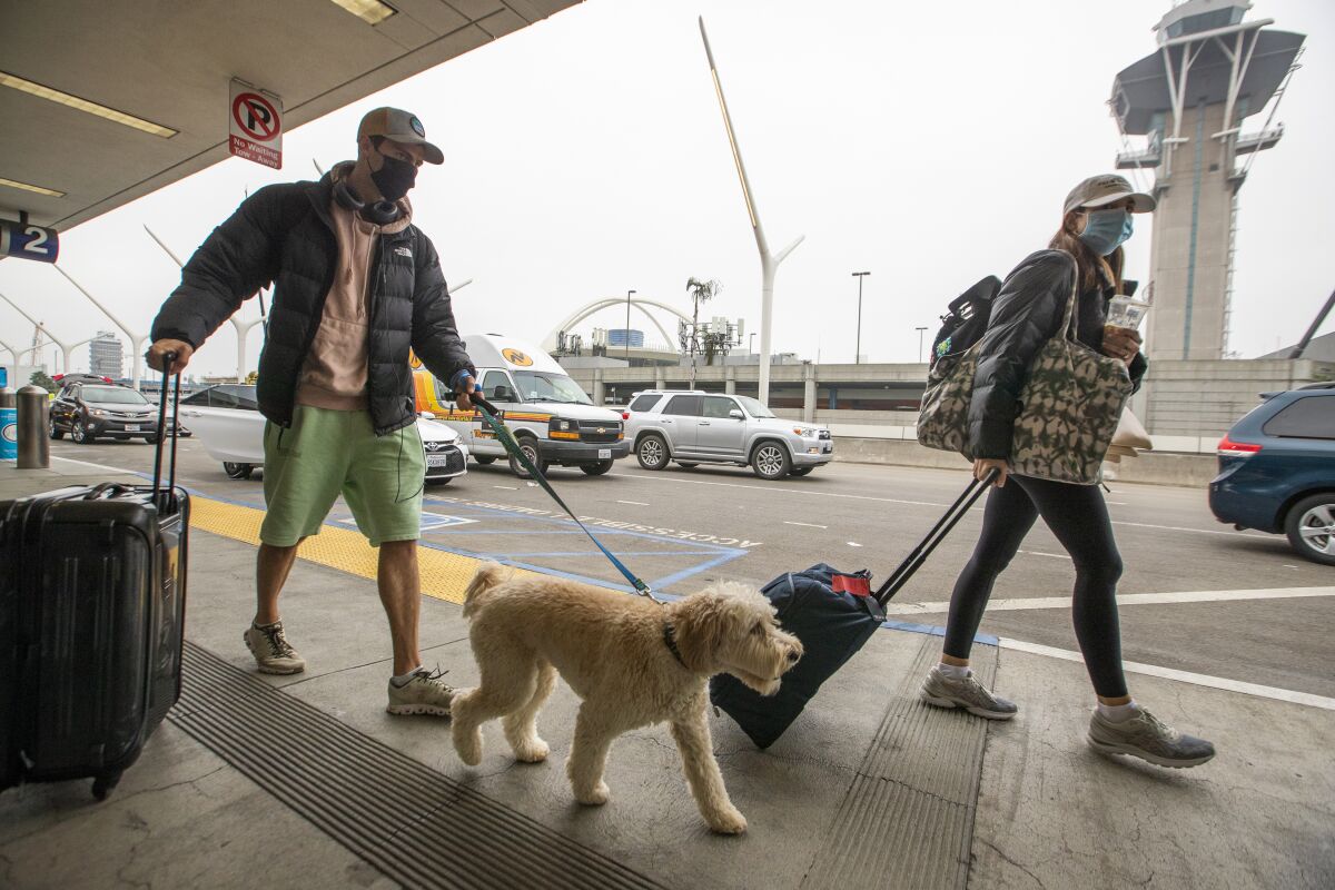 Travelers wearing masks arrive with their dog and luggage at LAX on Monday