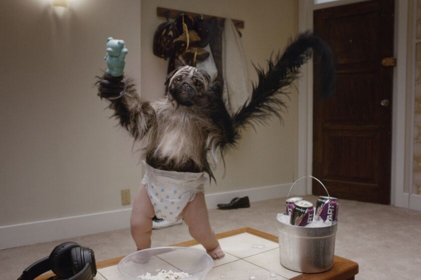 This image provided by Mountain Dew shows the “Puppymonkeybaby” from the company's Kickstart spot for Super Bowl 50.