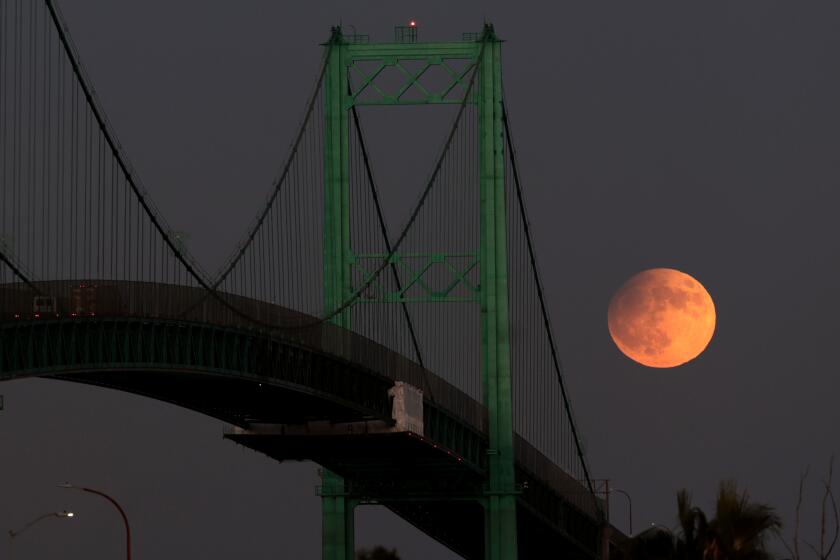 San Pedro, California September 17, 2024-The Harvest moon rises over the Vincent Thomas Bridge in San Pedro Tuesday night. Wally Skalij/Los Angeles Times)