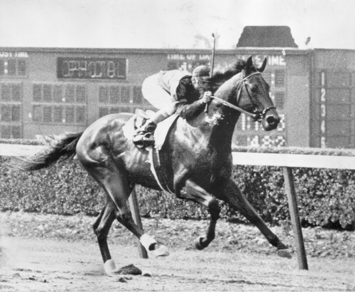 1948 -- CITATION | Jockey: Eddie Arcaro. Kentucky Derby time: 2:05.4. Runner-up: Coaltown. Preakness time: 2:02.4. Runner-up: Vulcan's Forge. Belmont Stakes time: 2:28.2. Runner-up: Better Self. Died: Aug. 8, 1970