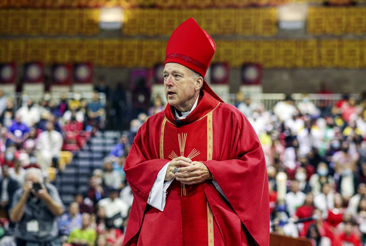 Cardinal-designate Robert McElroy delivers a sermon during a Pentecost Mass.