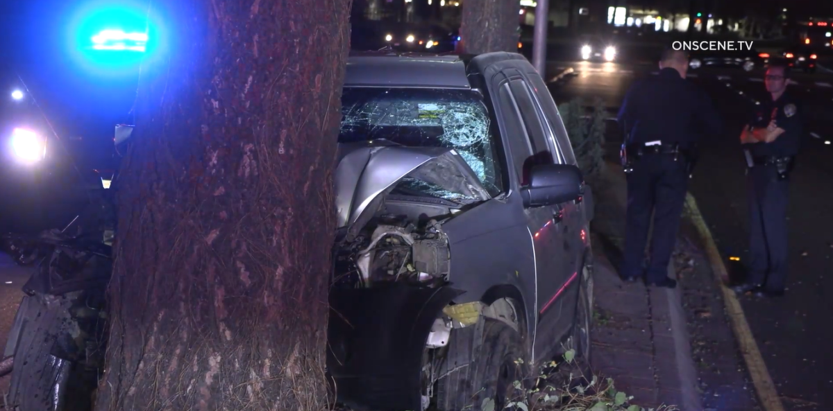 A driver was killed after slamming into a tree in Mira Mesa early Thursday morning, police said.